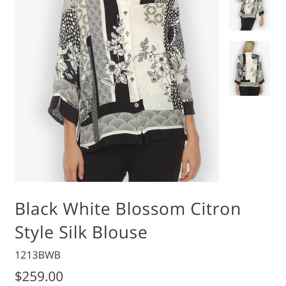 Citron Santa Monica Silk Textured Blouse - Picture 8 of 8